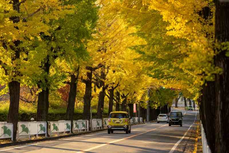 AdobeStock_392910887